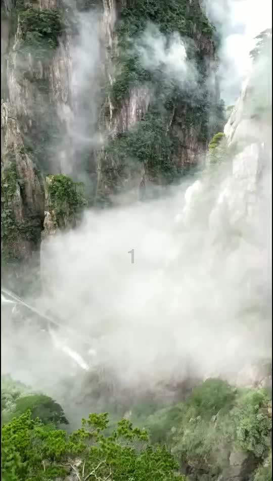 园丁逃生